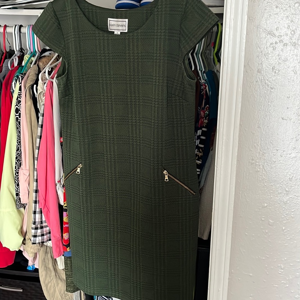 Karin stevens dress
